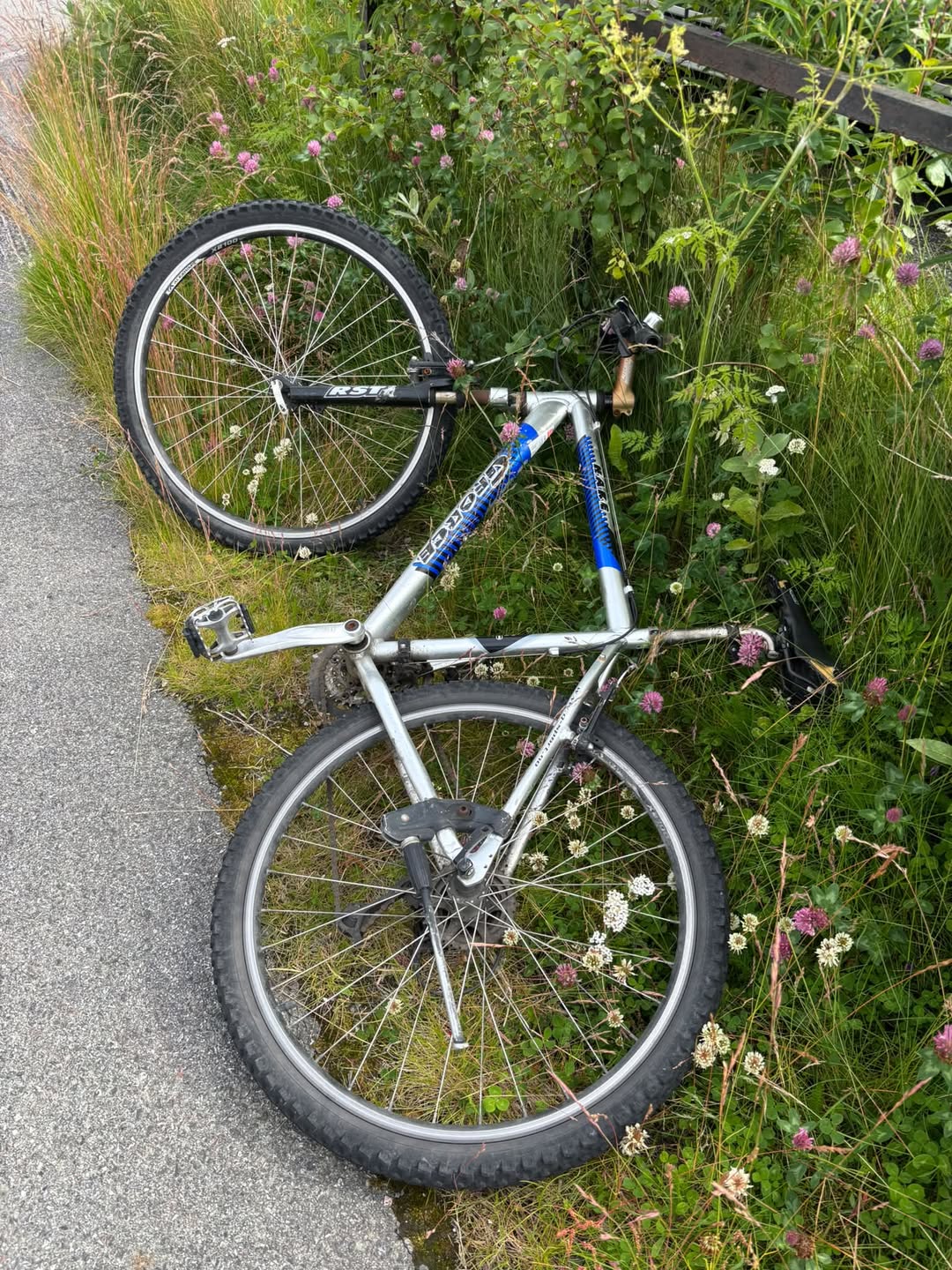 Found bike