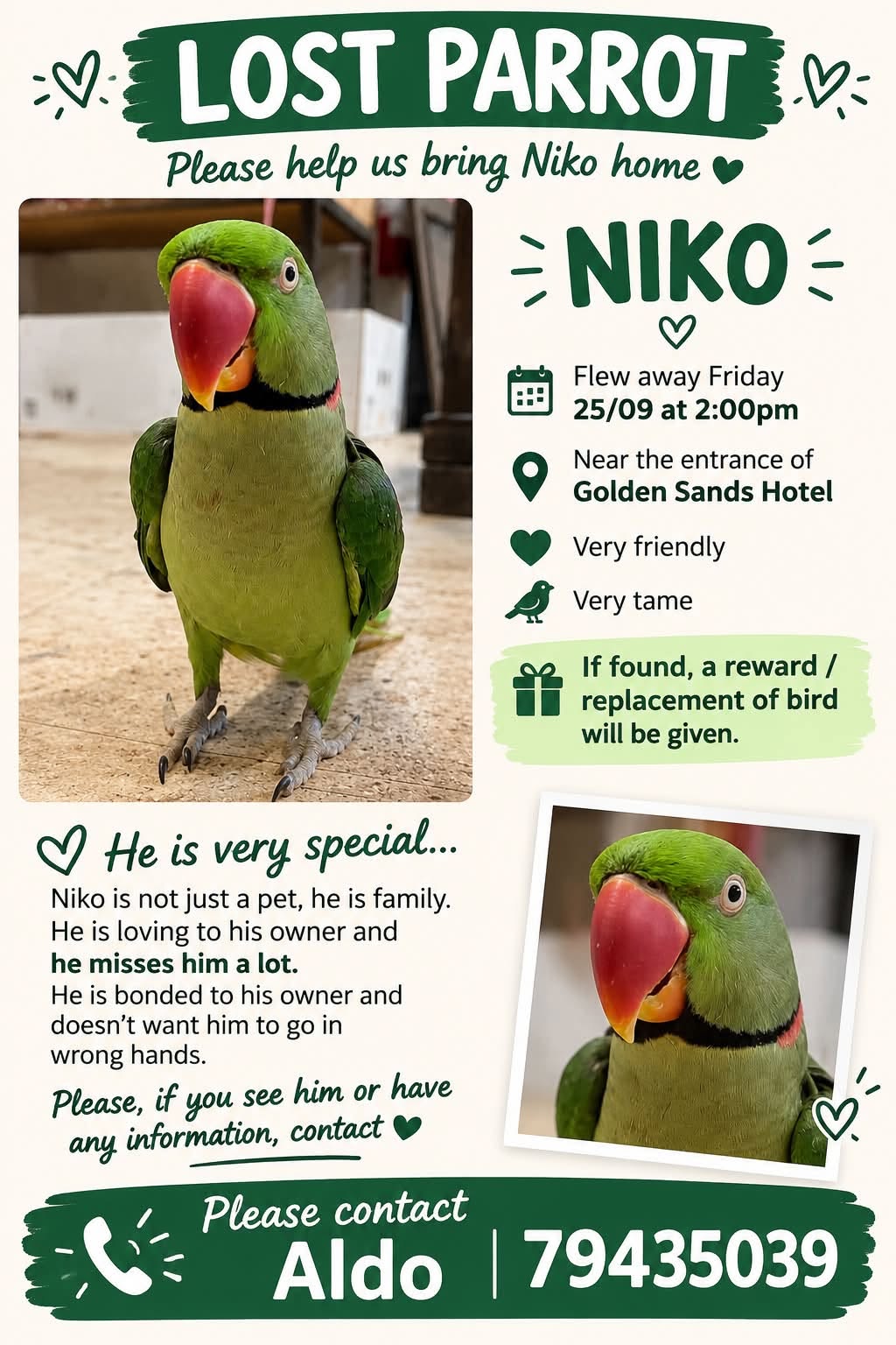 Lost bird