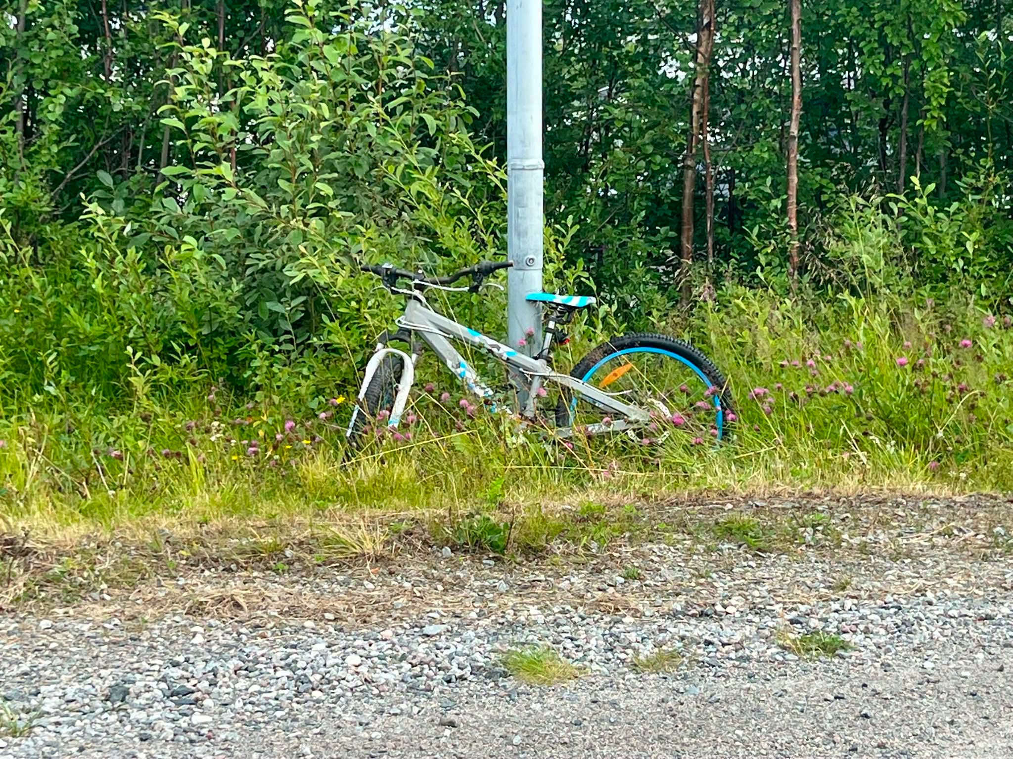 Found bike