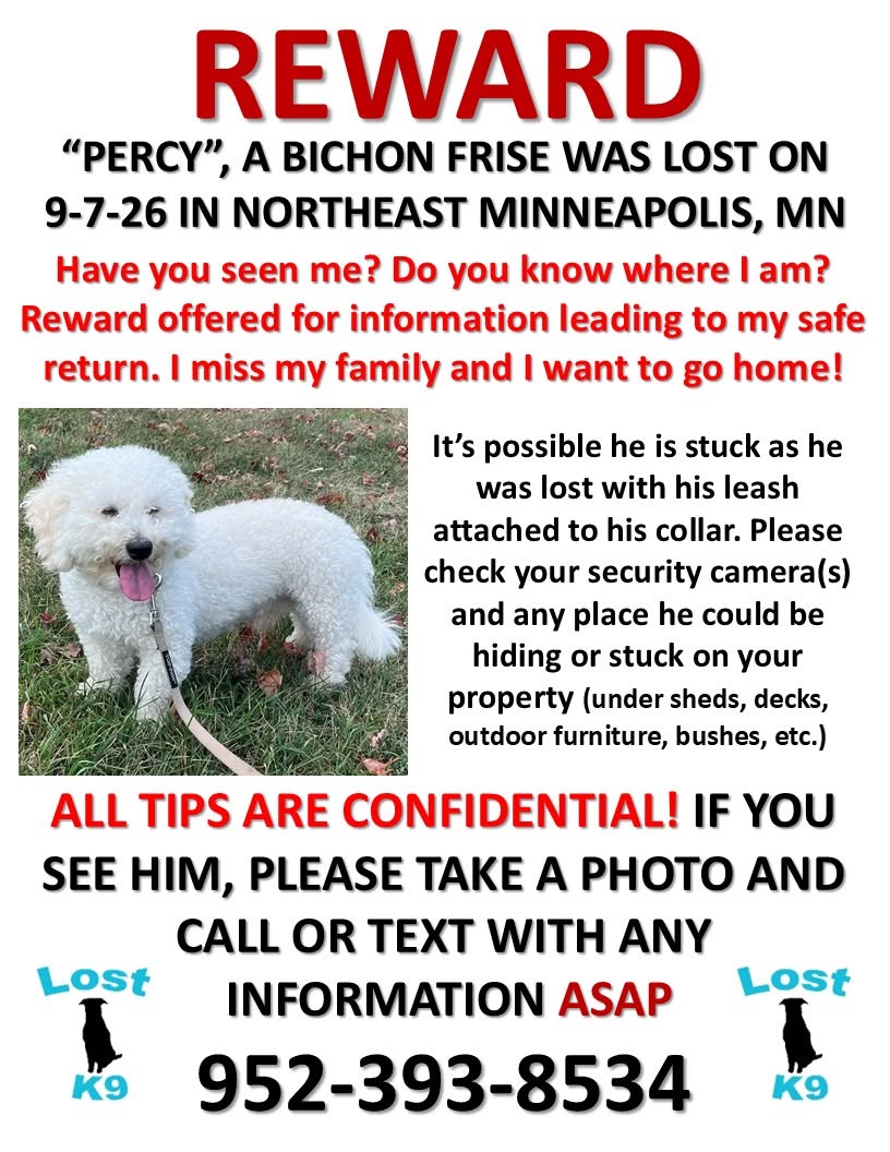 Lost Dog in Minneapolis