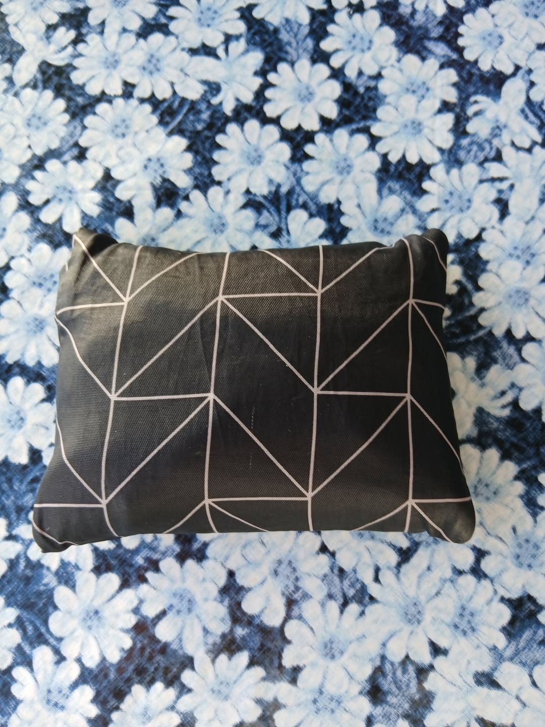 Found Bag in SøR-Varanger