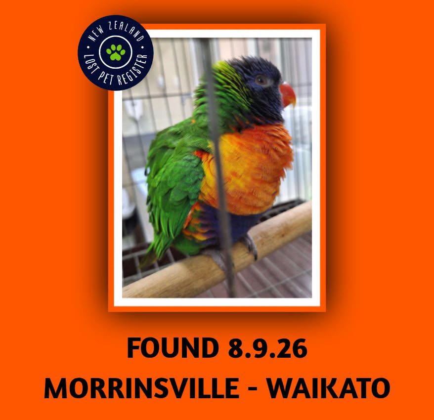 Found bird