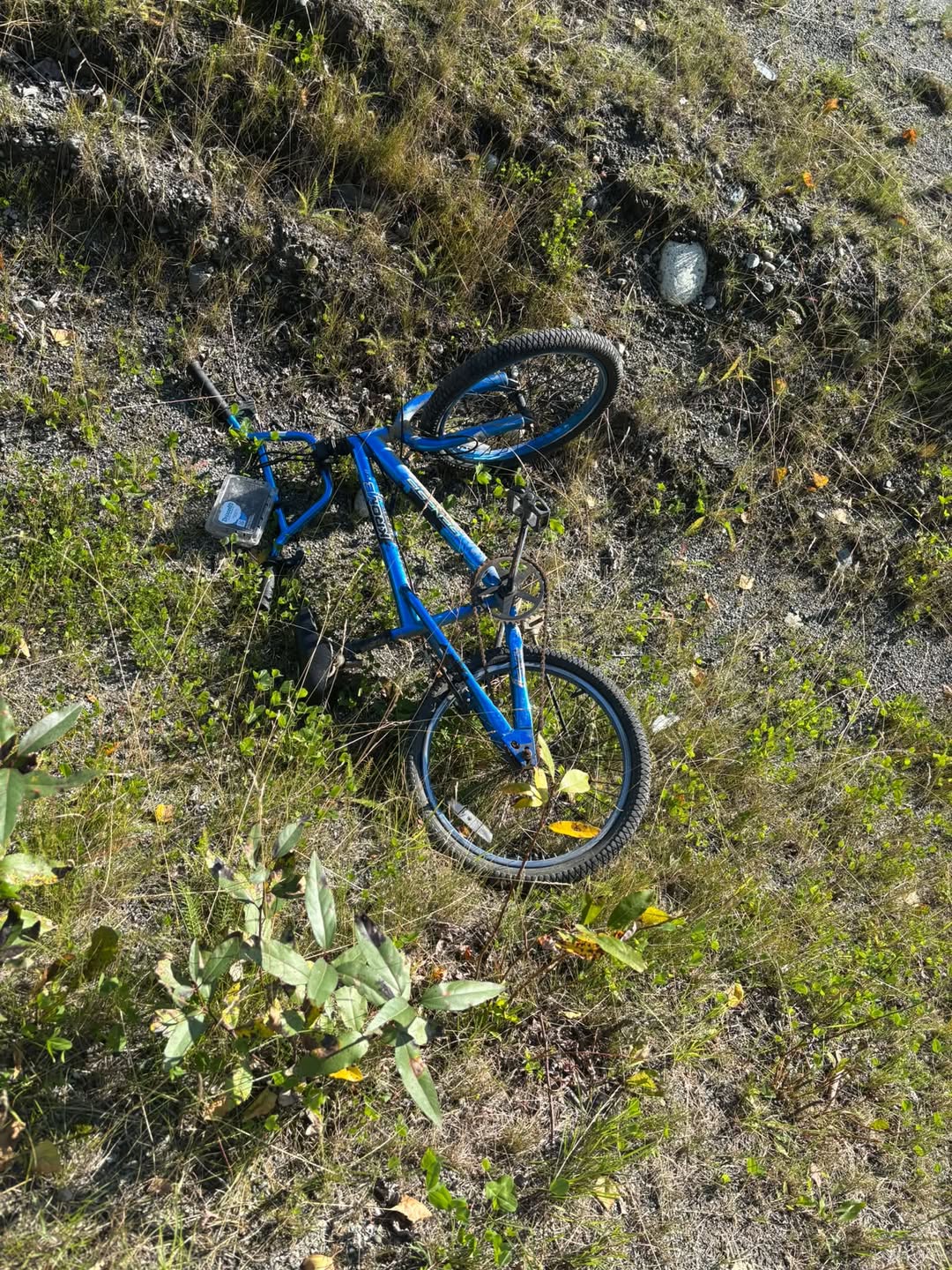 Found bike