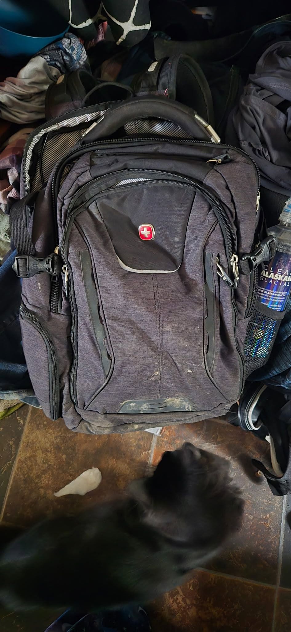 Lost Bag in Stampede Trail