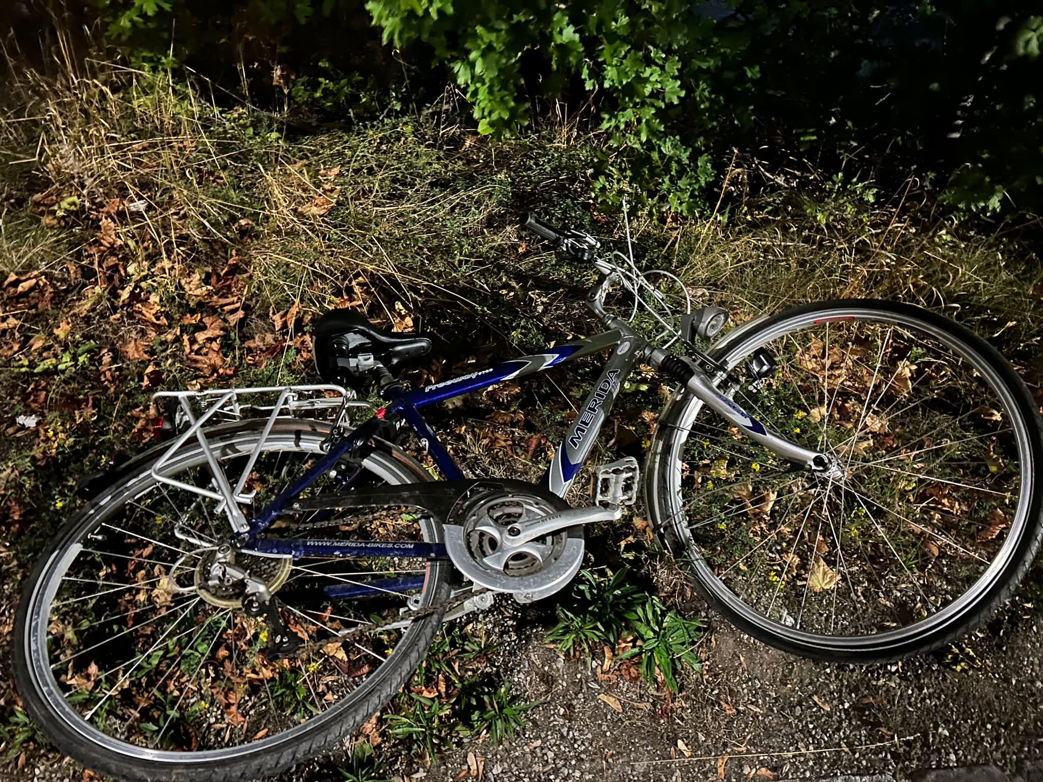 Found bike