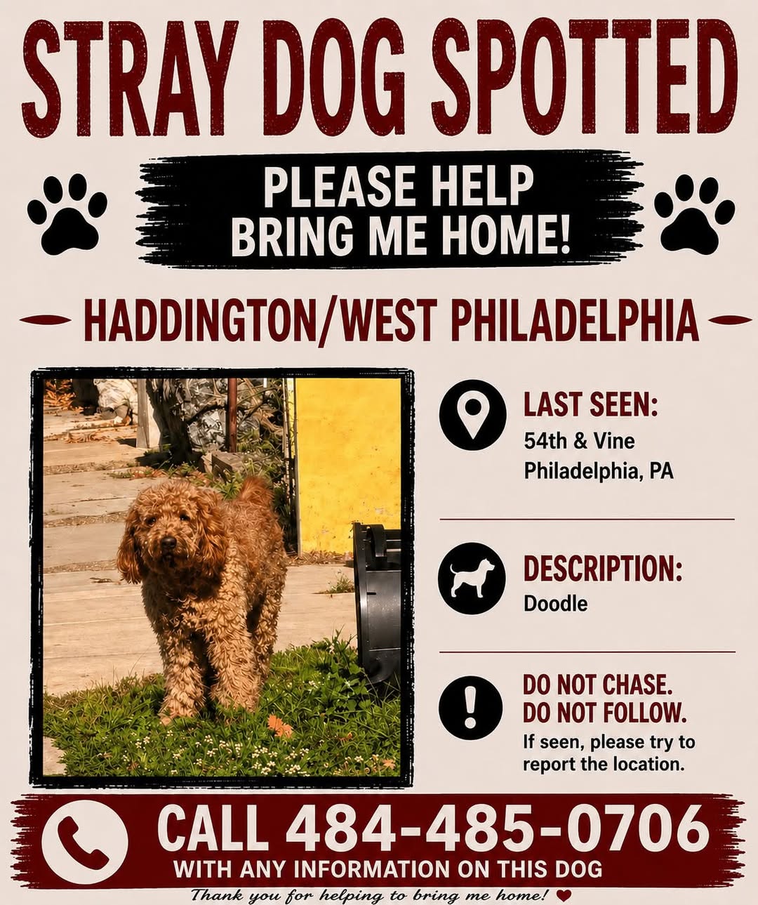 Found dog
