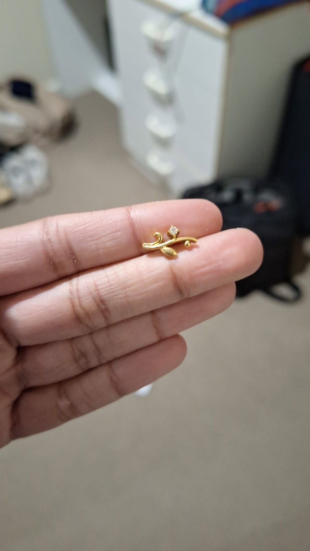 Lost Earring in Canning Vale