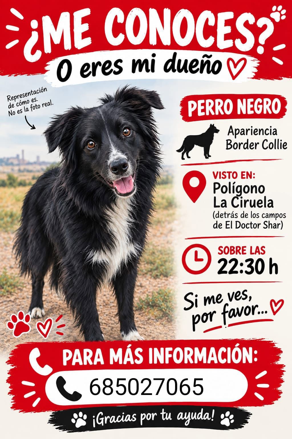 Found dog
