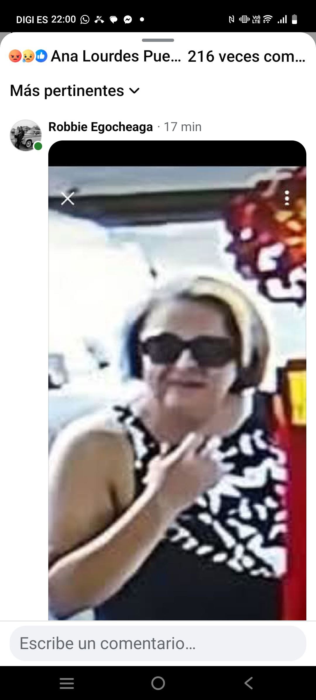 Lost Dog in Spain
