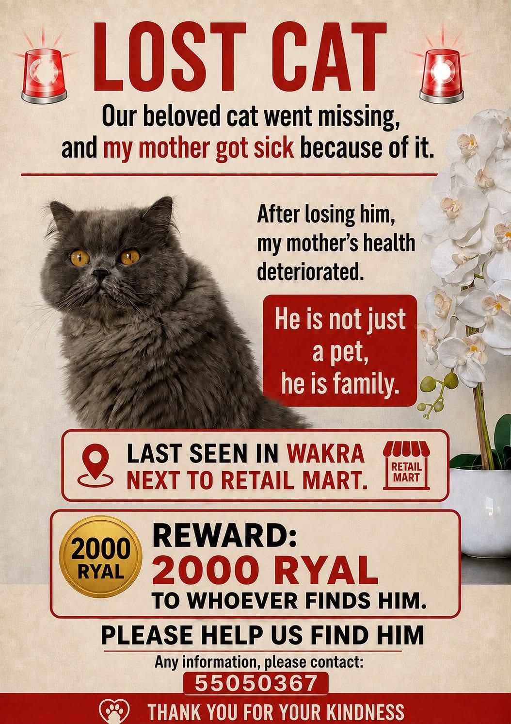 Lost Cat in Al Wakrah