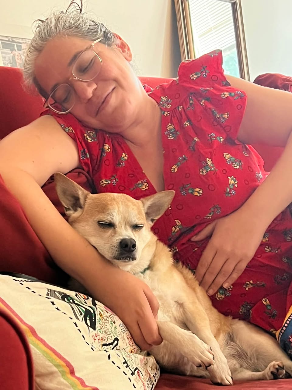 Lost Dog in Pittsburgh