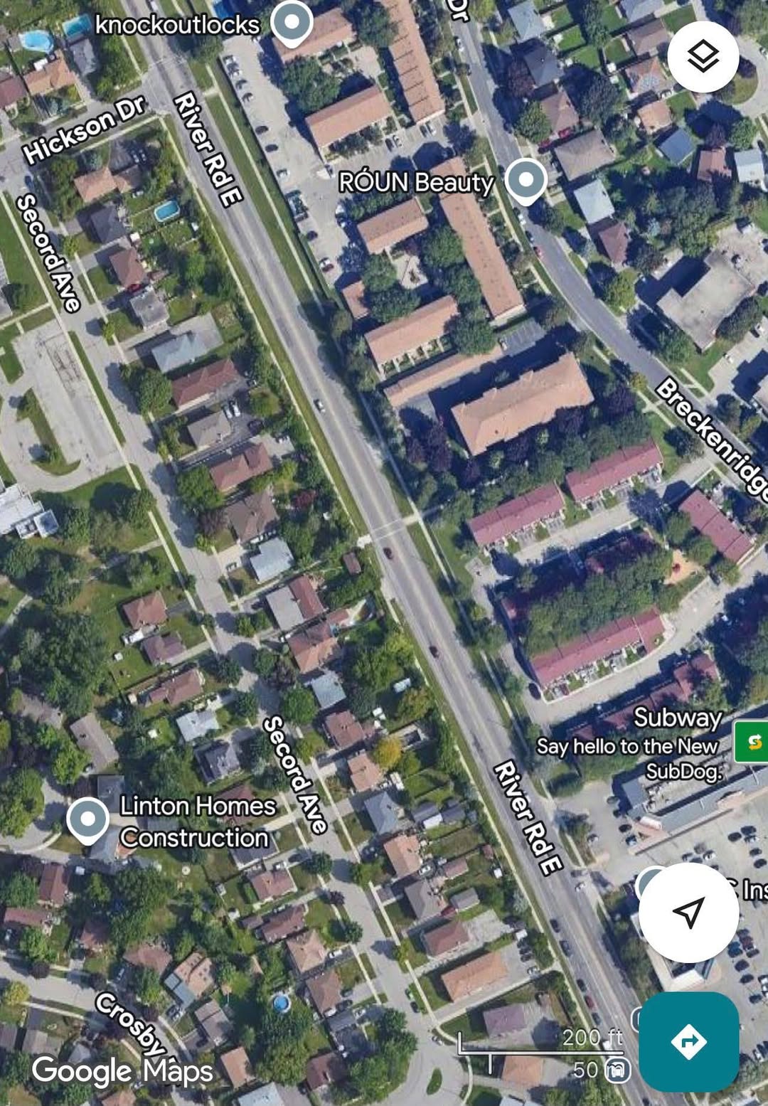 Found cat