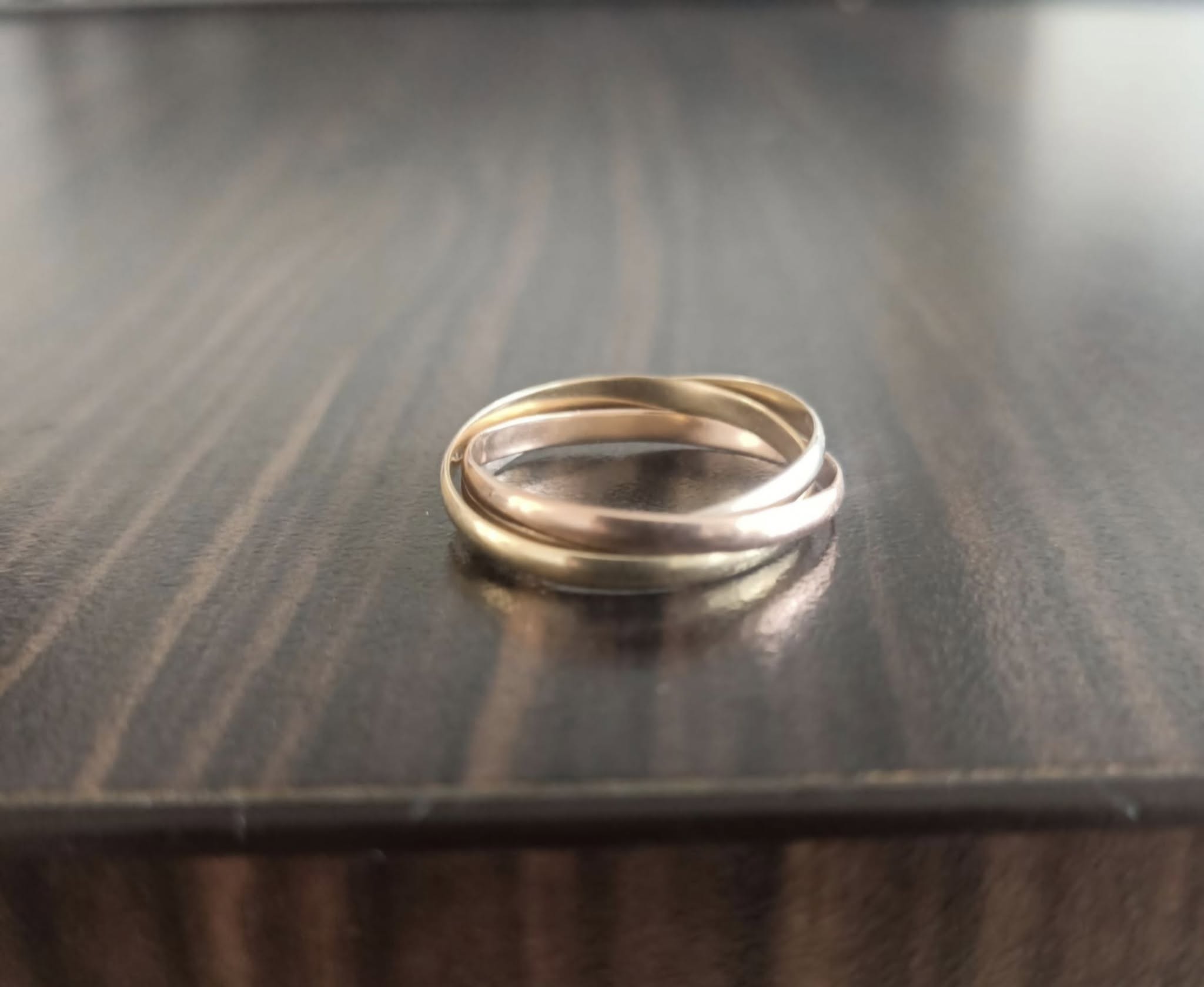 Lost Ring in Apeldoorn