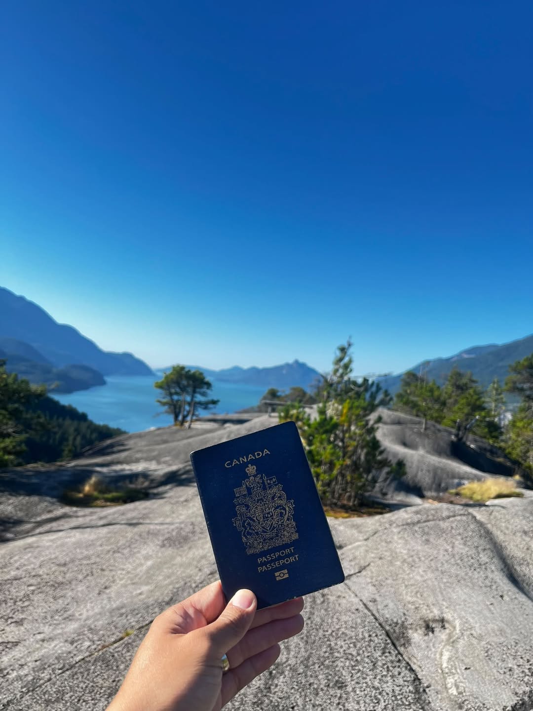 Found passport