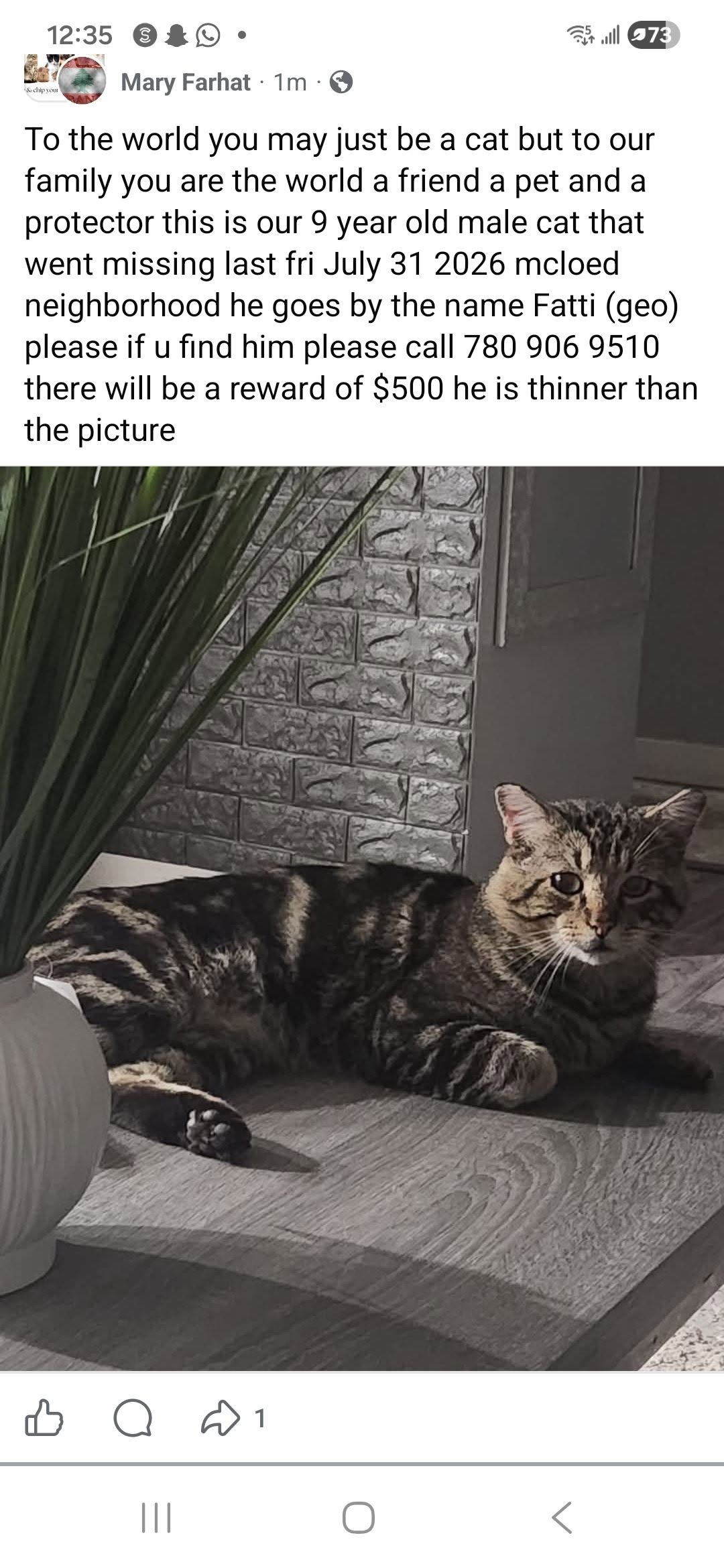 Matching item
