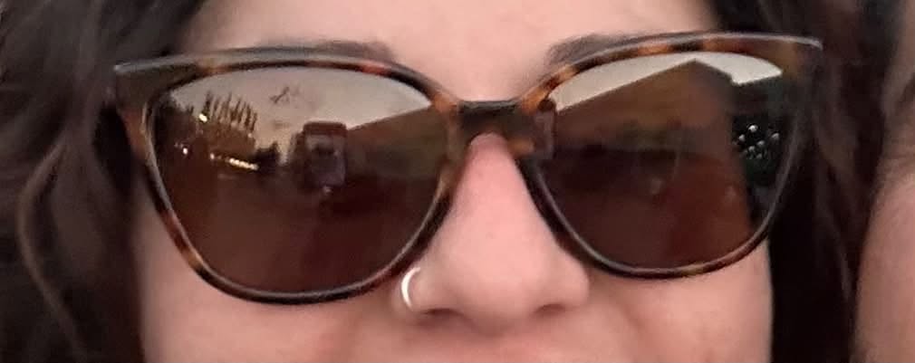 Lost Sunglasses in Edmonton
