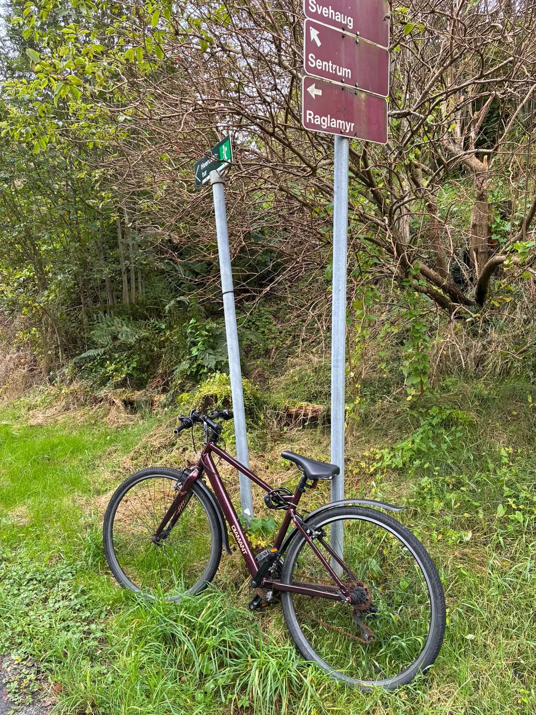 Found bike