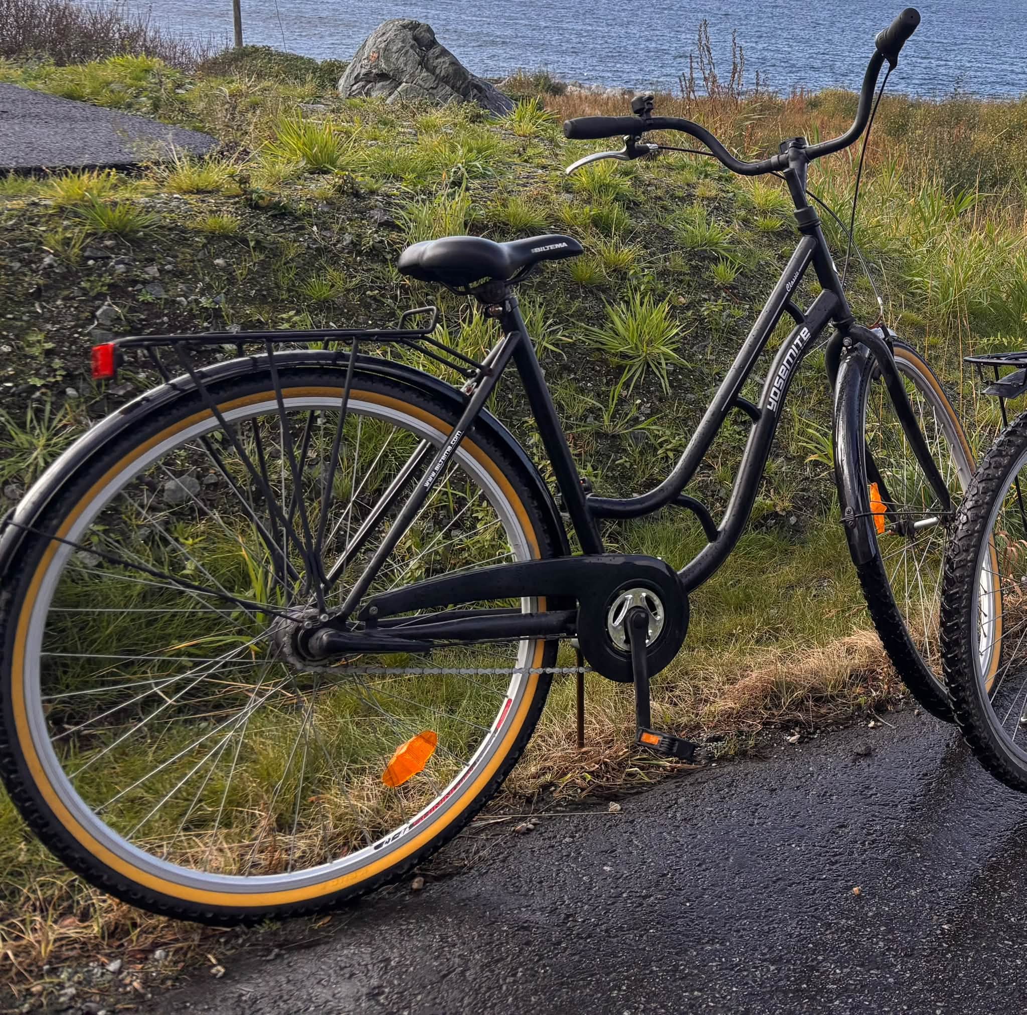 Lost bike