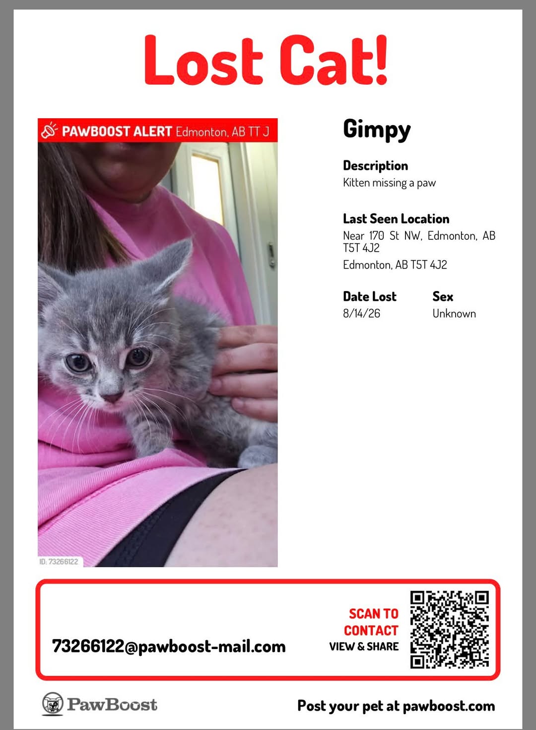 Lost Cat in Edmonton