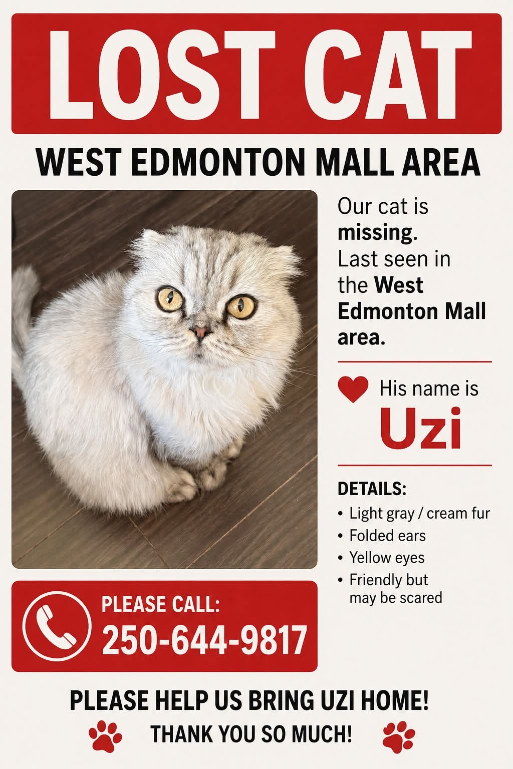 Lost Cat in West Edmonton Mall Area