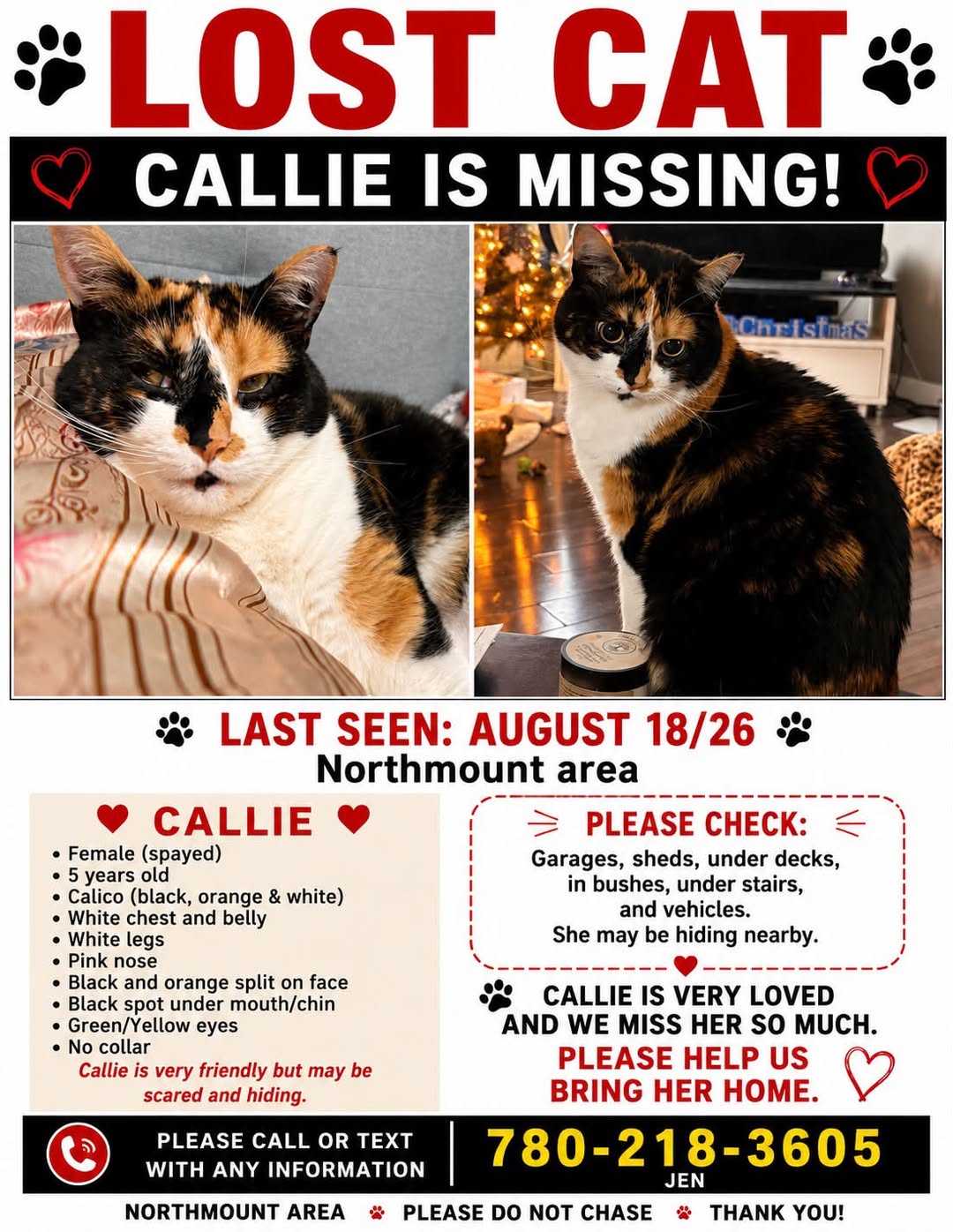 Lost Cat in Northmount