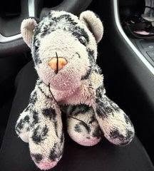 Lost Toy in Edmonton