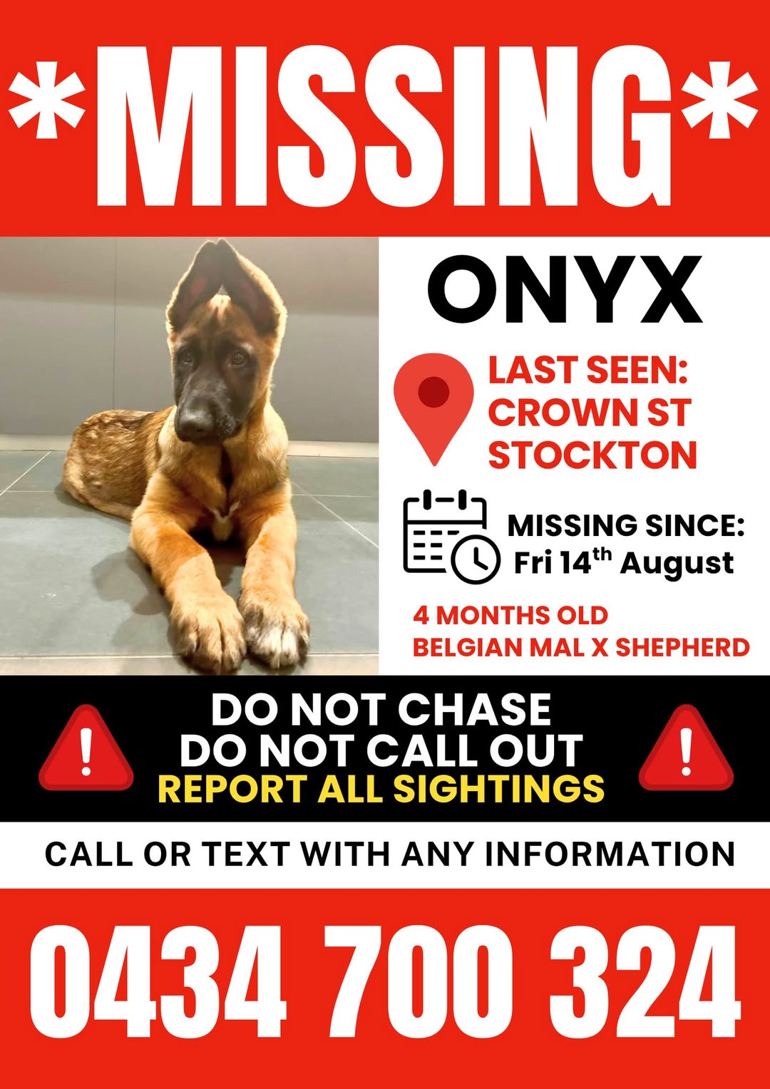 Lost Dog in Stockton