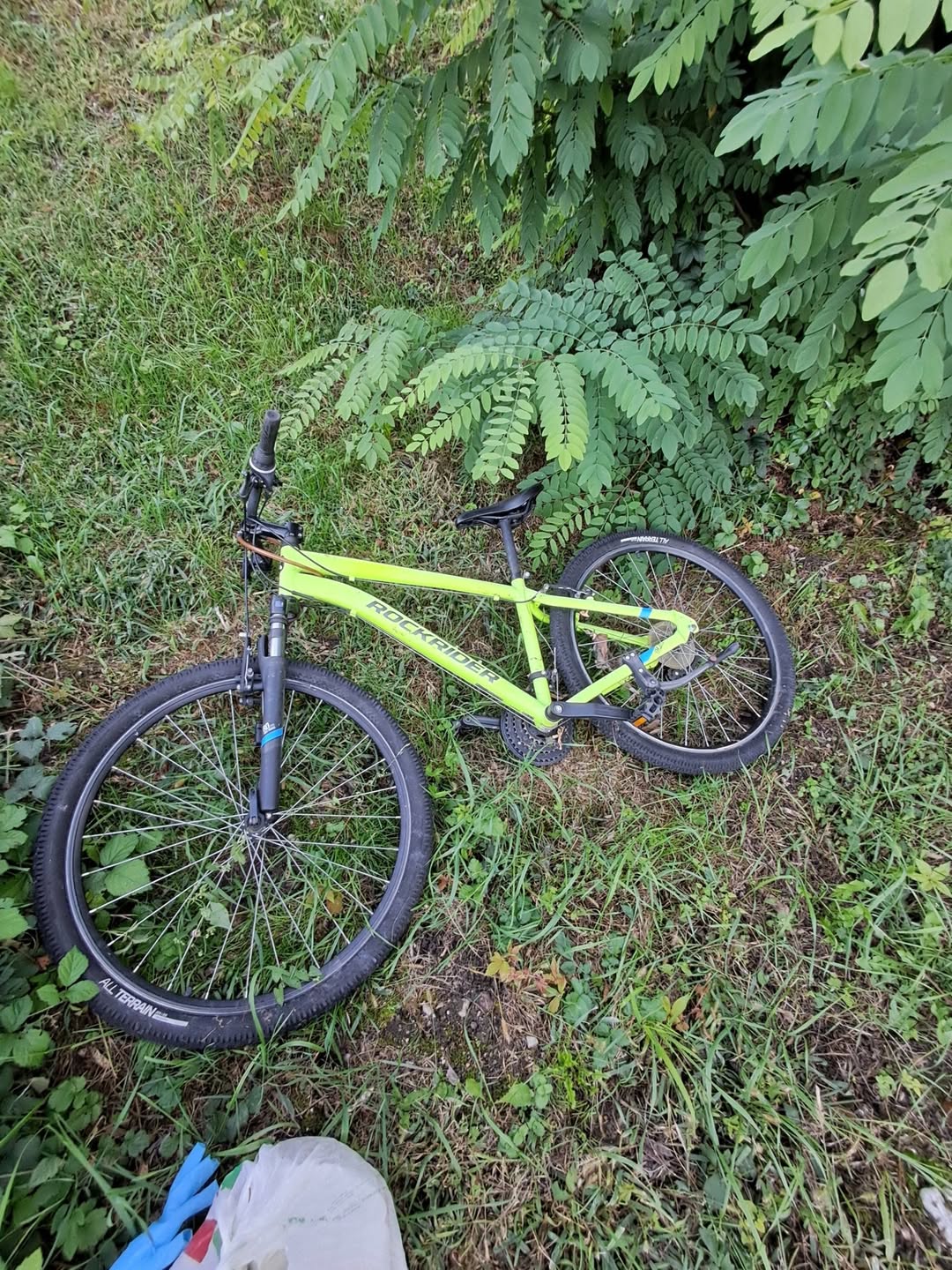 Found bike