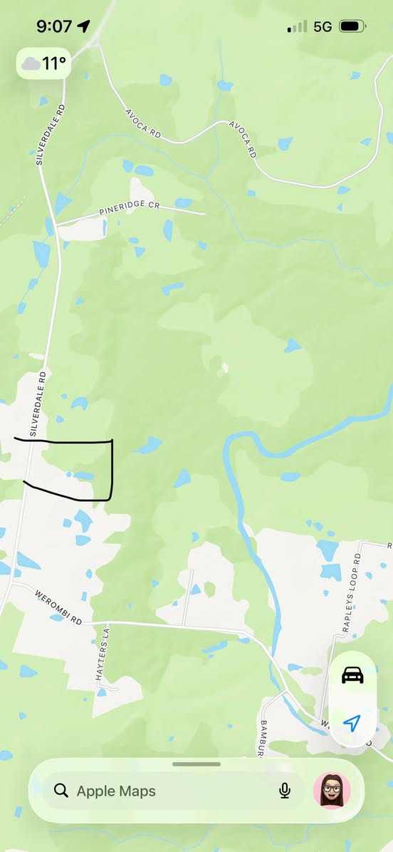 Lost Dog in Werombi