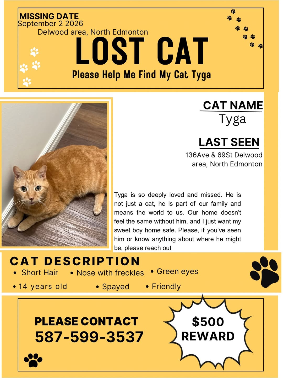 Lost Cat in Delwood
