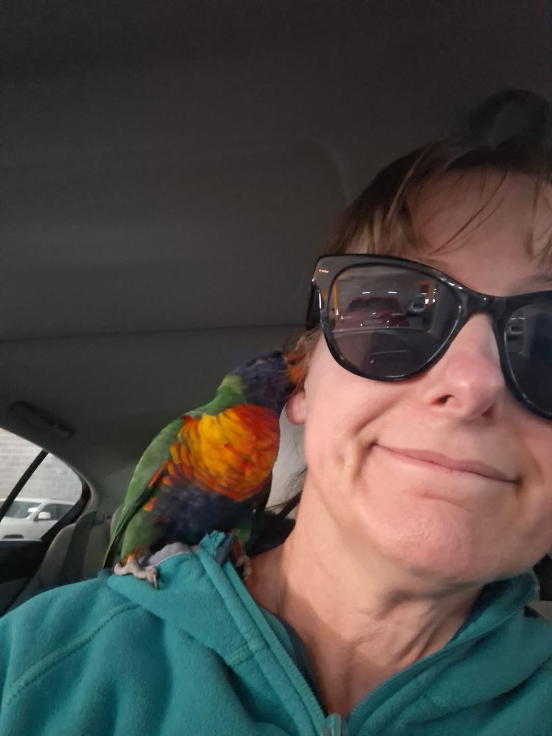 Found bird