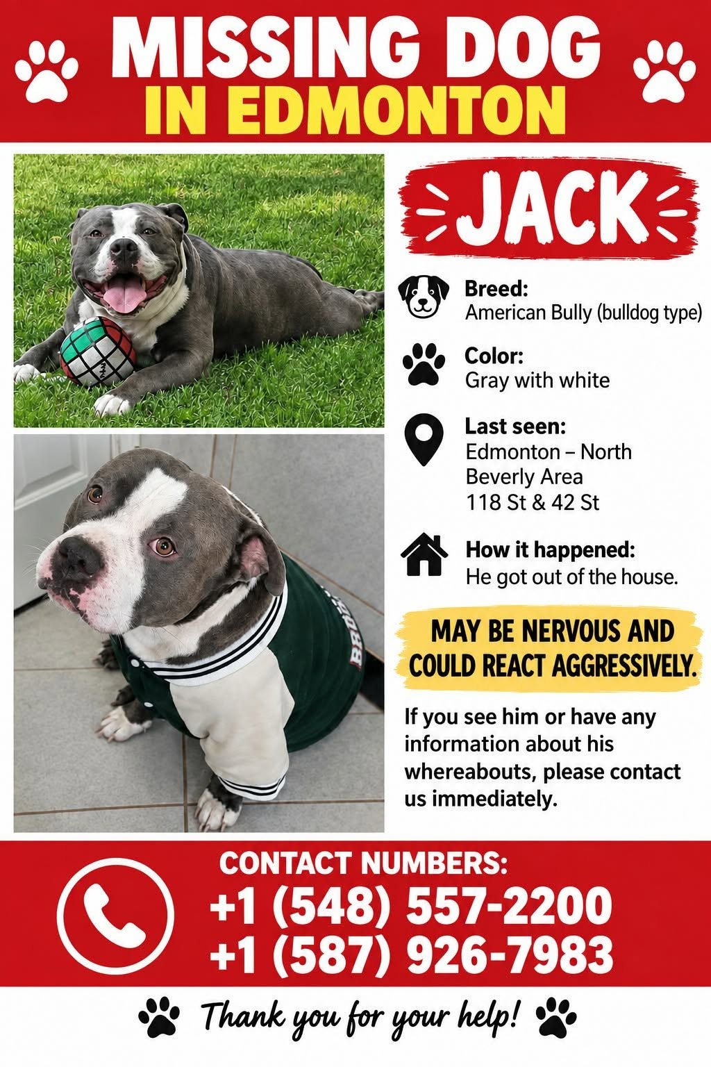 Lost Dog in Edmonton