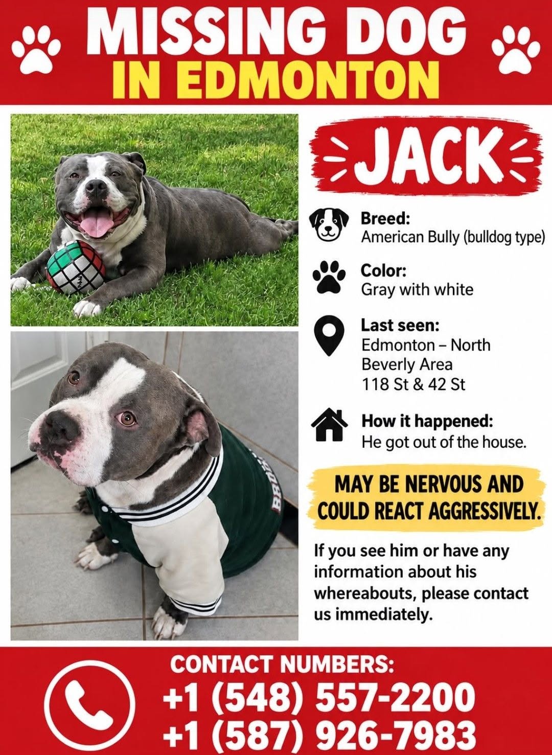 Lost Dog in Edmonton