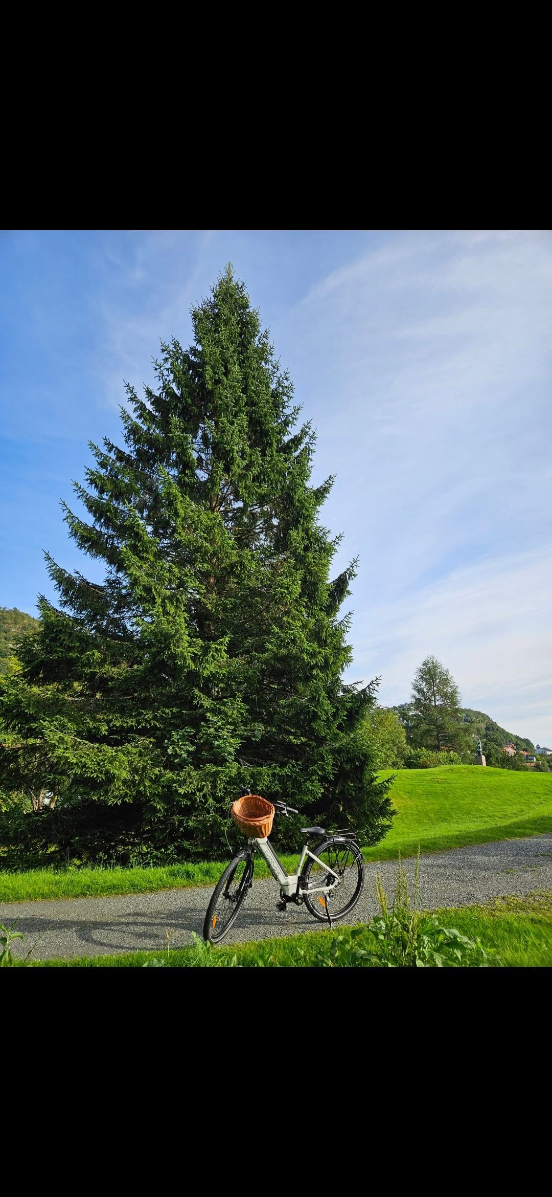 Lost Bike in Bergen