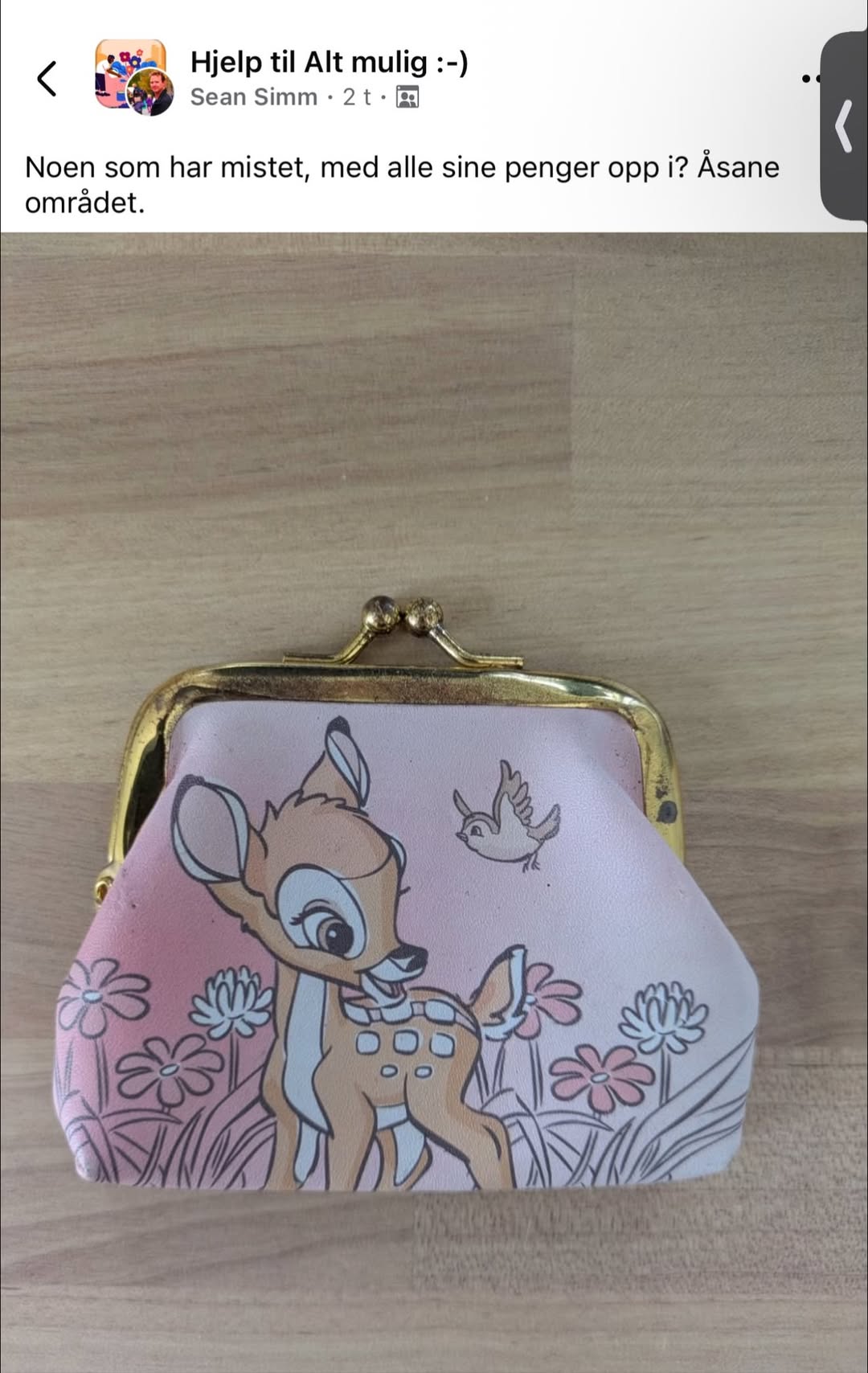 Found wallet