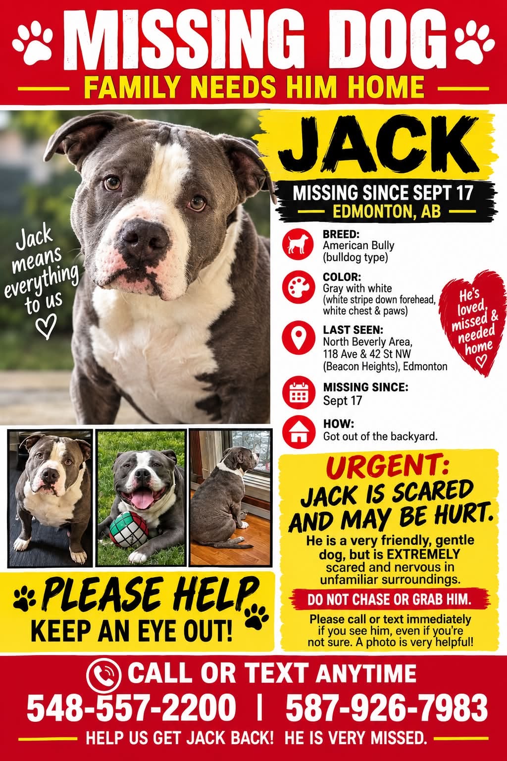 Lost Dog in Beacon Heights