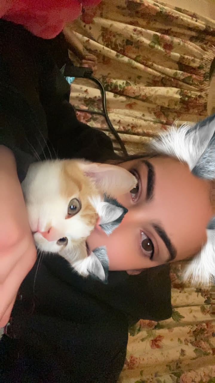 Lost Cat in Victoria