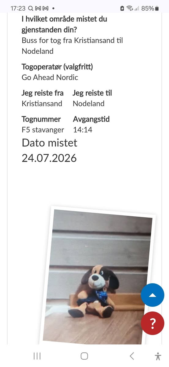 Lost Toy in Kristiansand