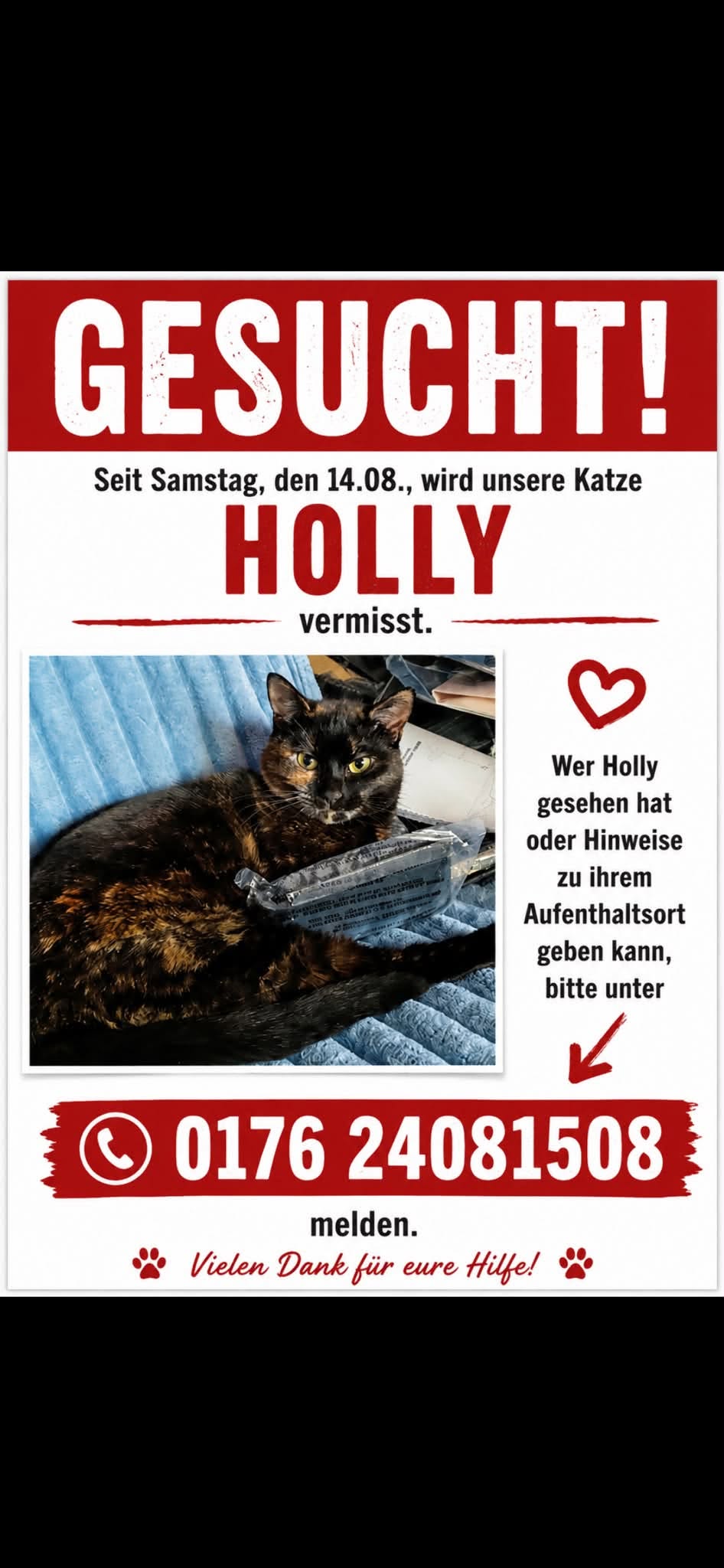 Lost Cat in Koblenz