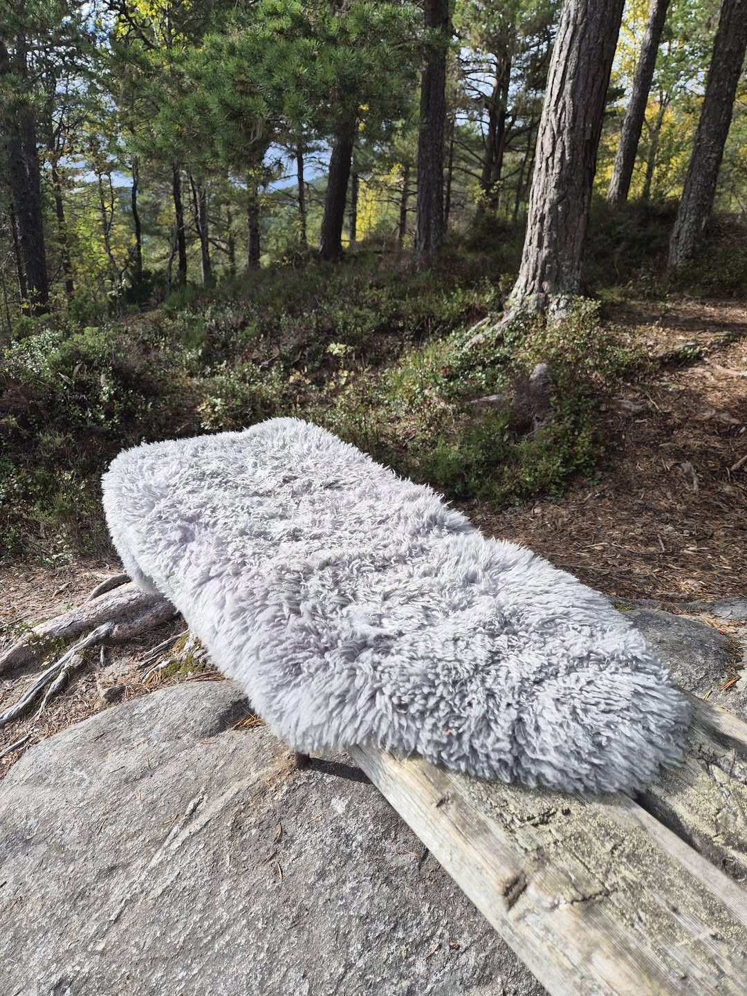 Found seat pad
