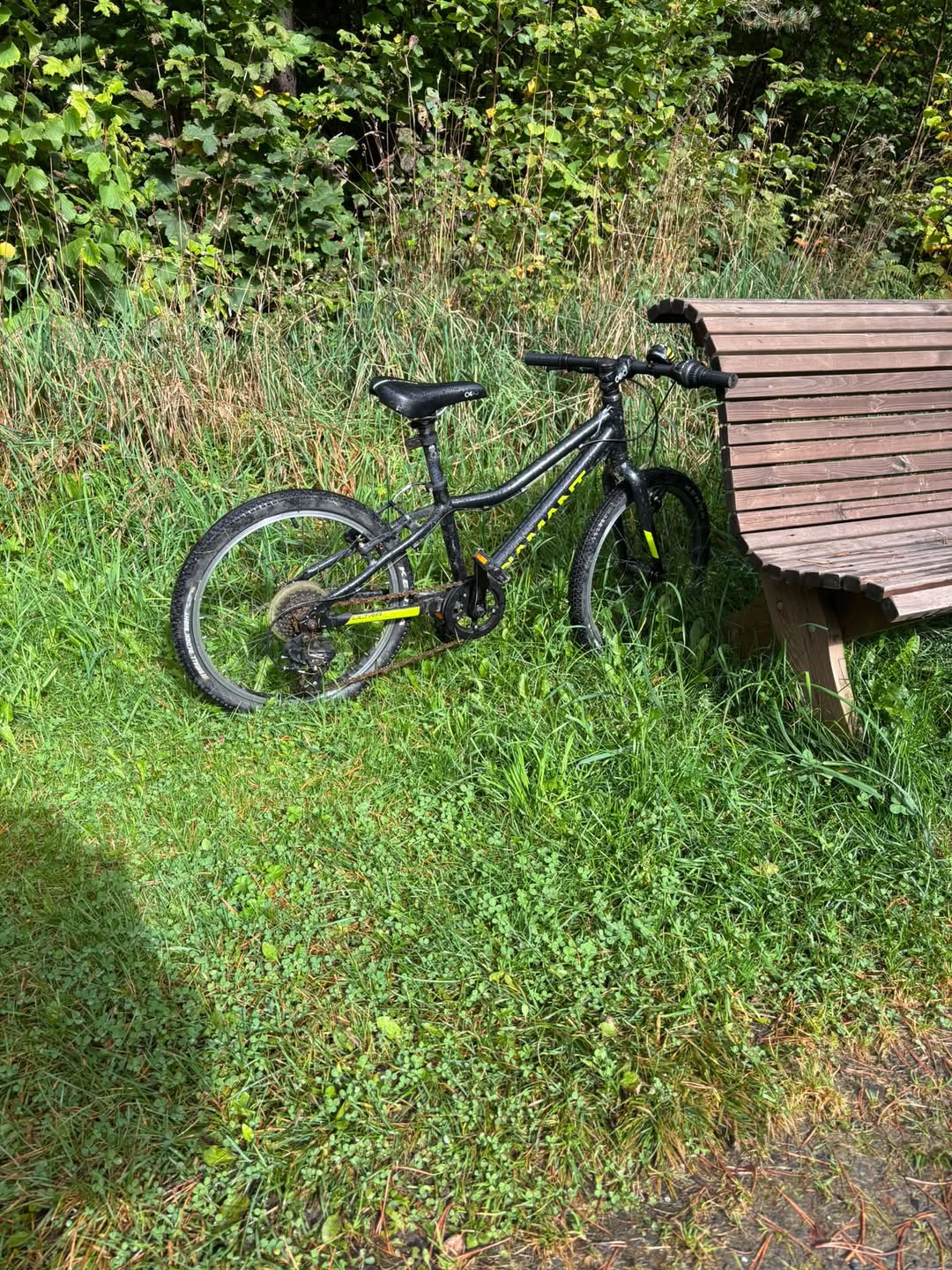 Found bike