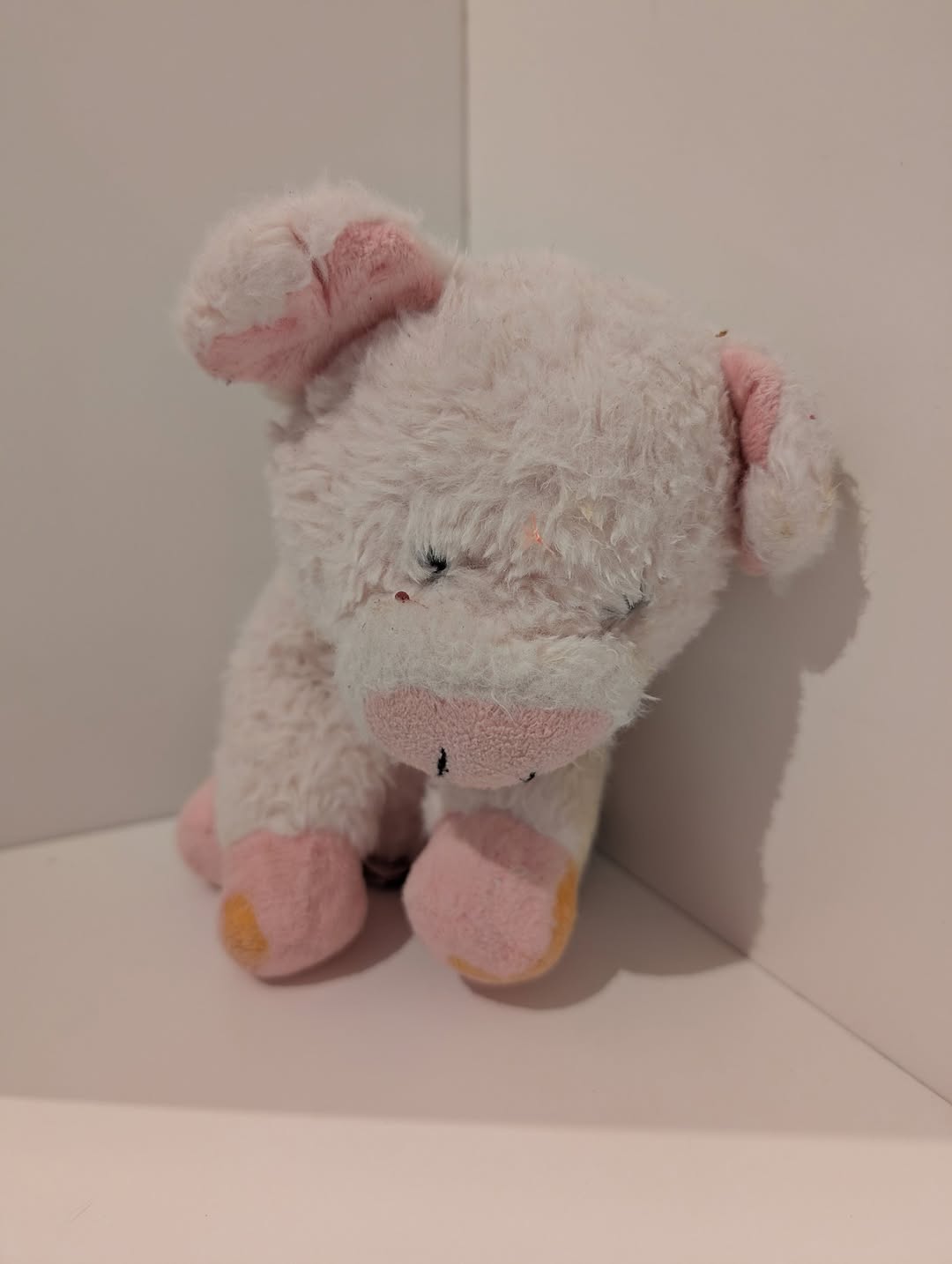 Found Plush Toy in Molde