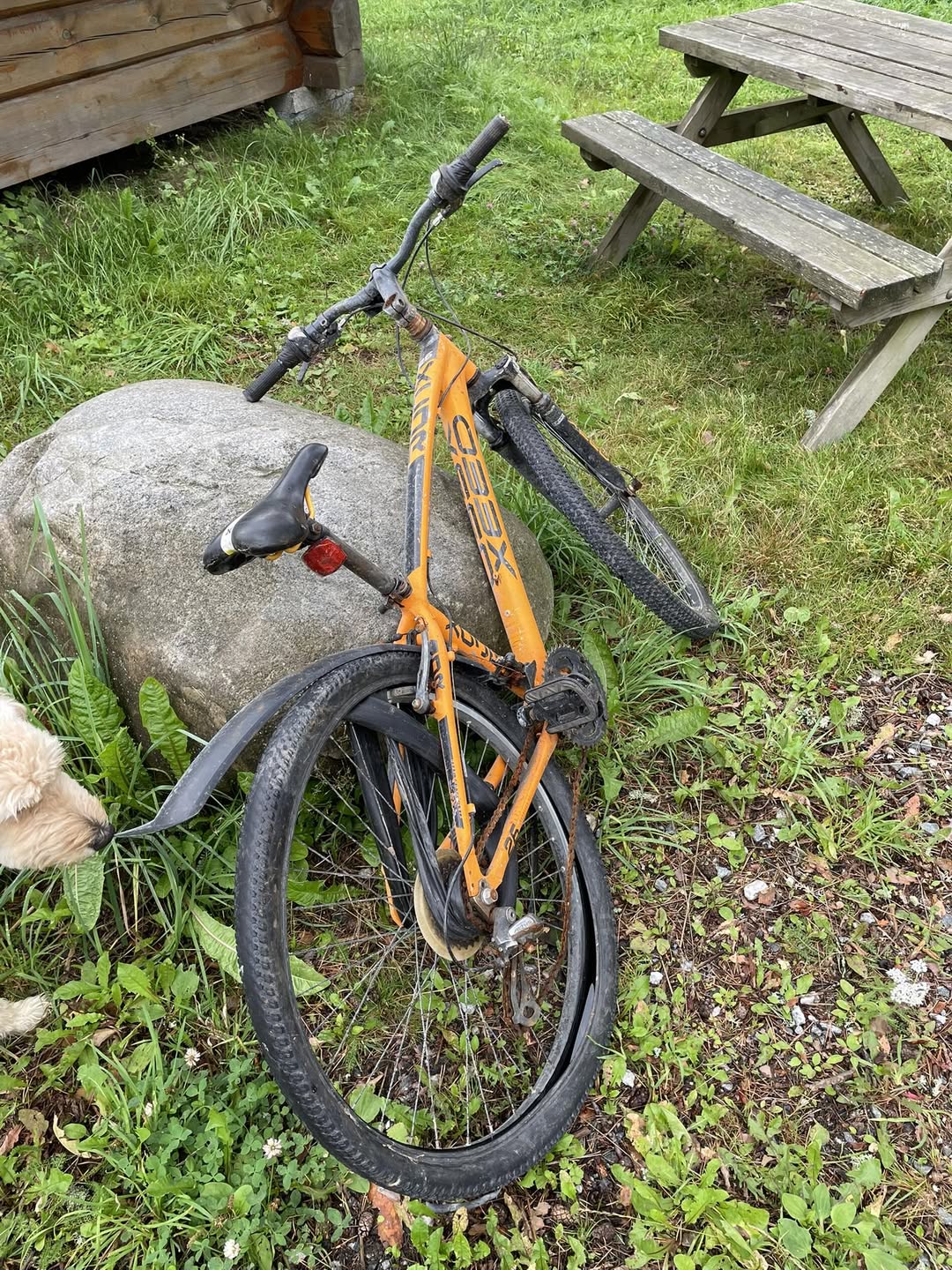 Found bike