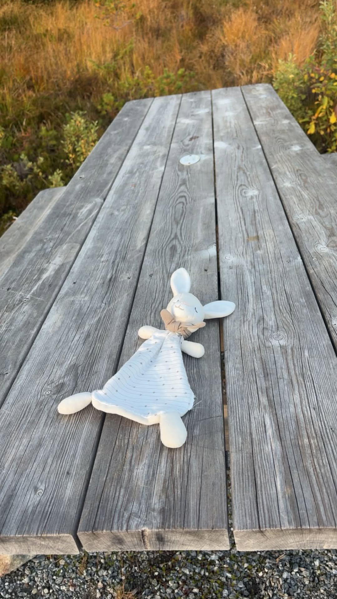Found toy