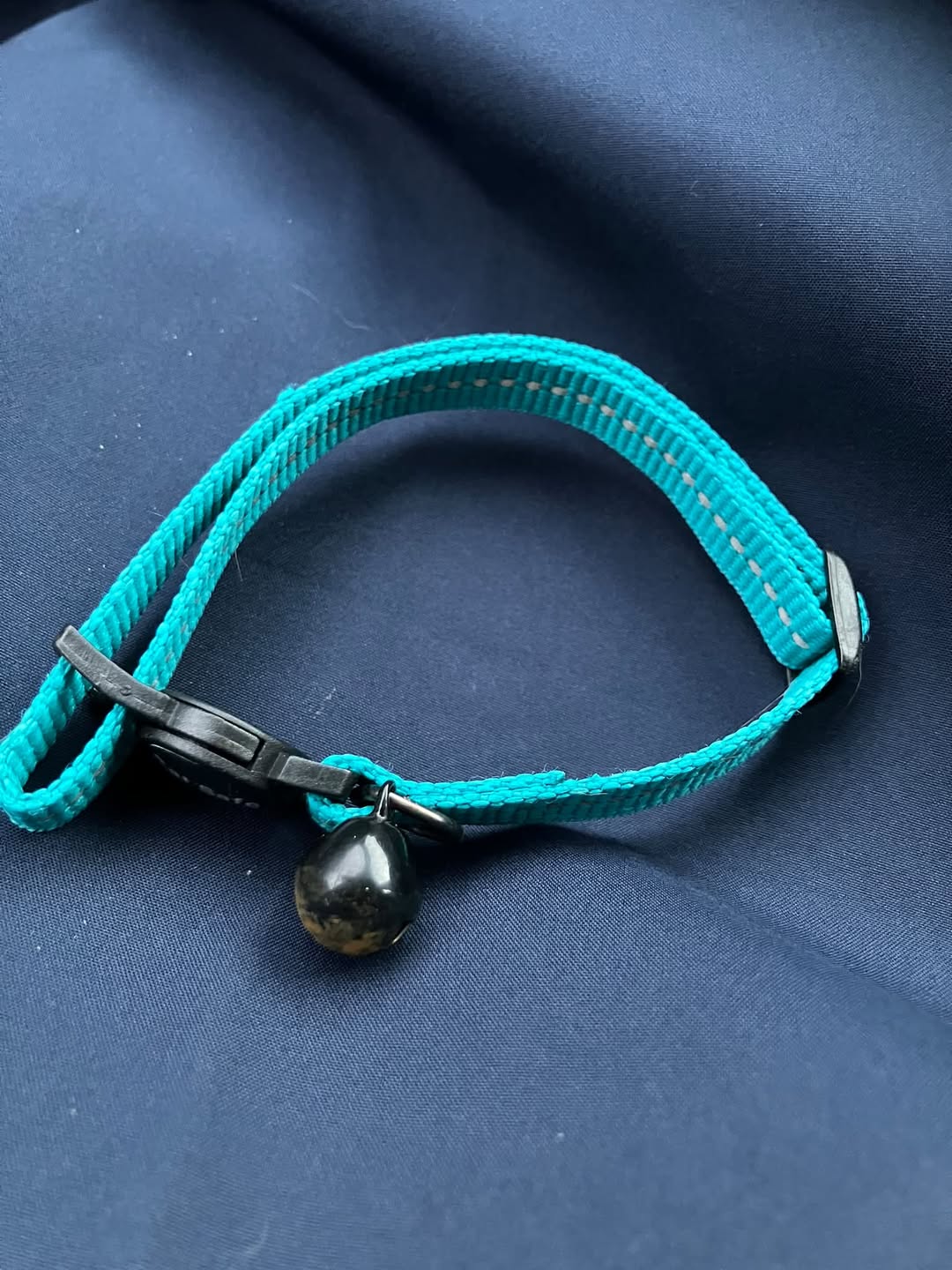 Found Collar in Molde