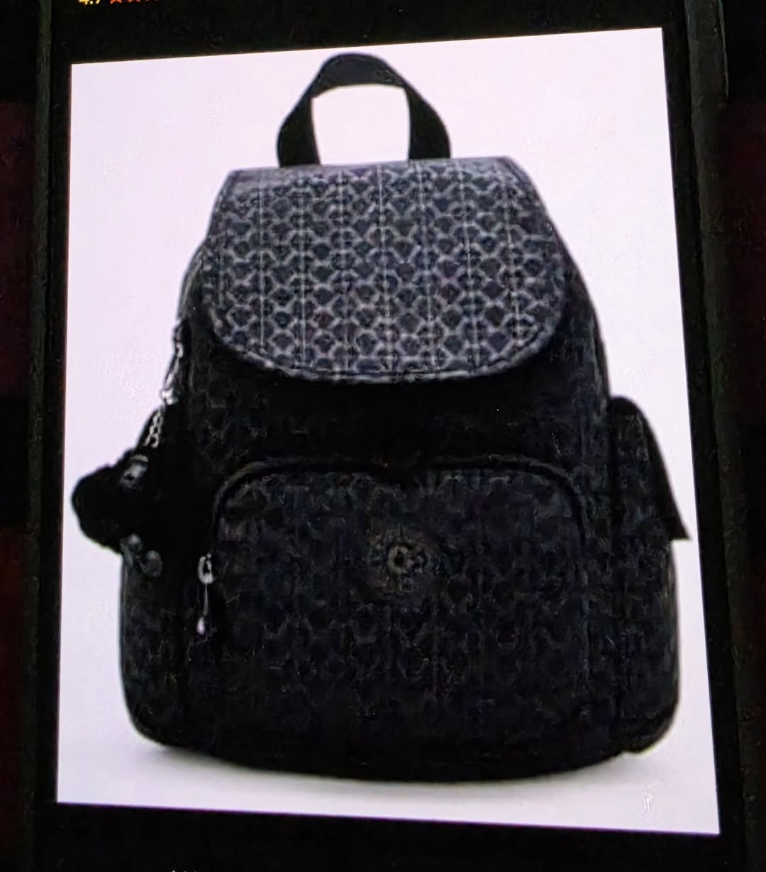Lost Bag in Sydney