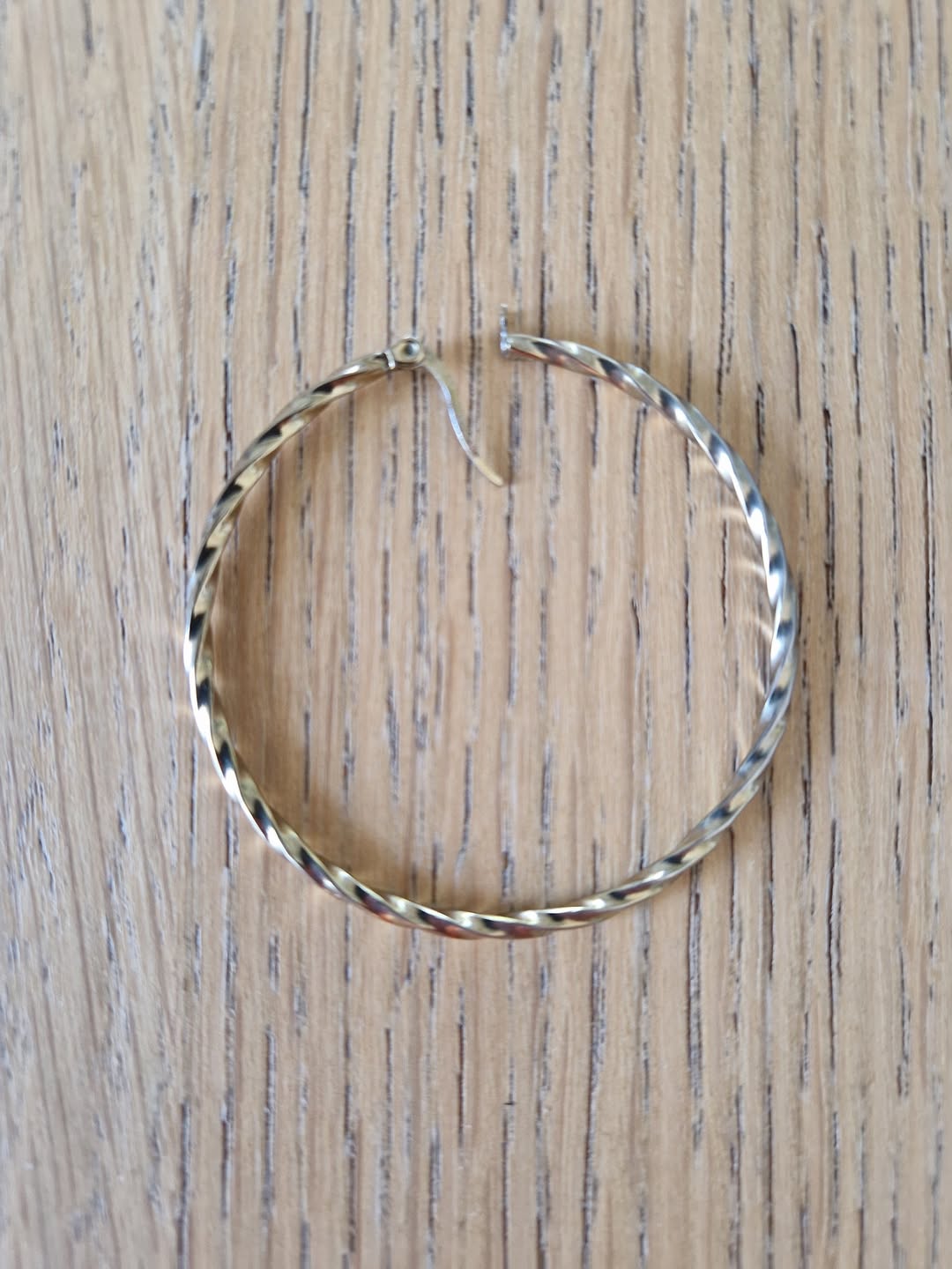 Found Earring in Geneva