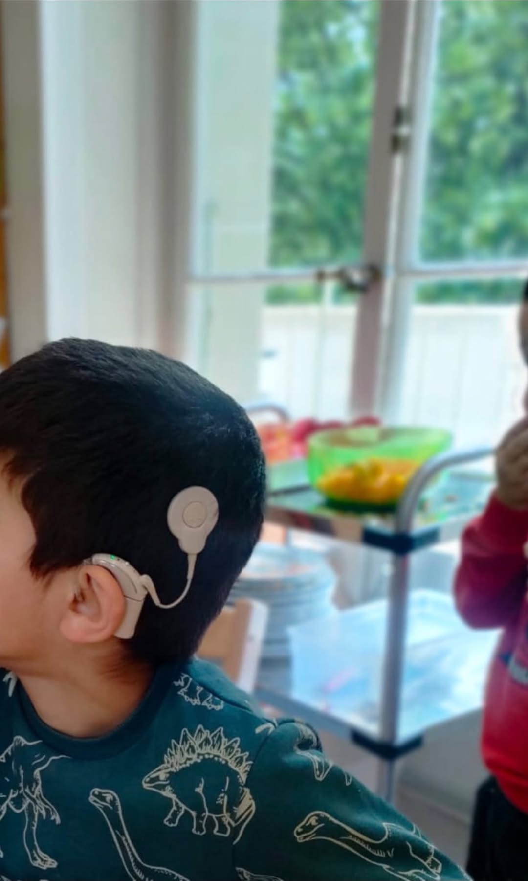 Lost hearing aid