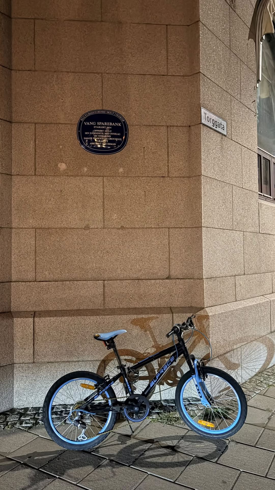 Found bike