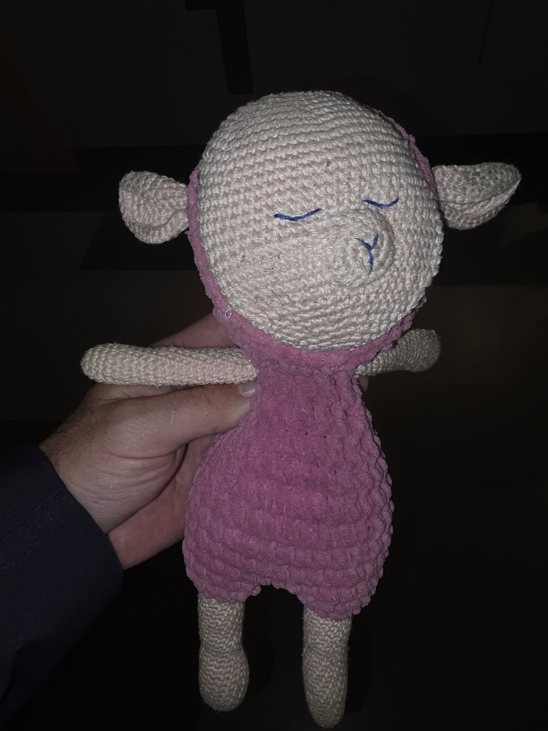 Found Toy in Geneva
